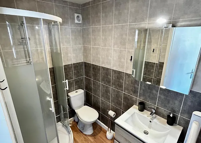 Apartment Le Petit Placieux, Garage Gratuit Sur Place Nancy